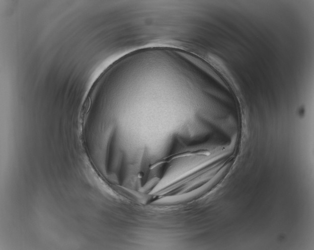 X0000116491292200912231143