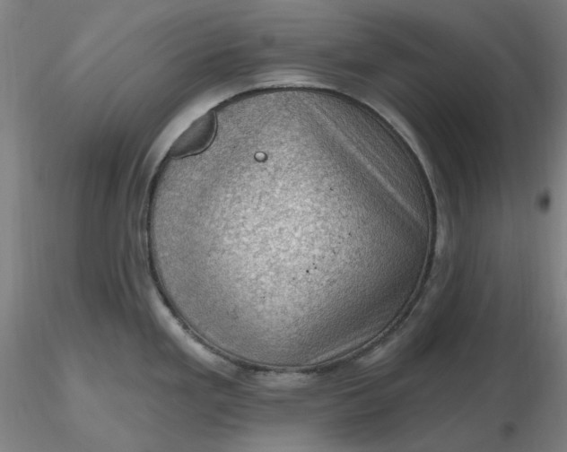 X0000116491293200912231143