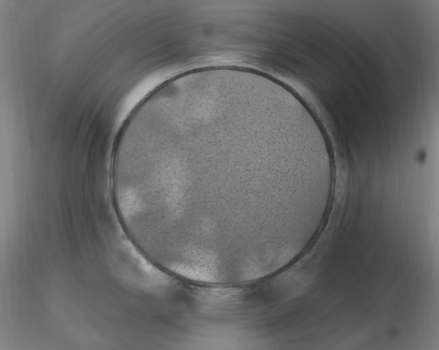 X0000116491294200912231143