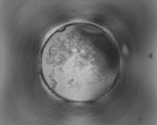 X0000116491295200912231143