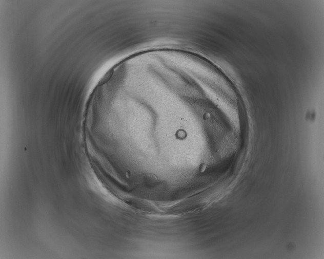 X0000116491296200912231143