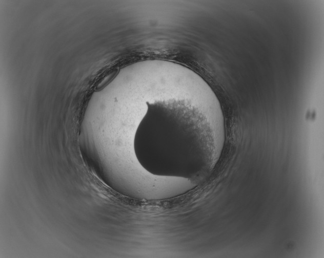 X0000116491297200912231143