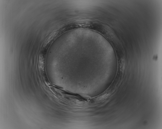 X0000116491298200912231143