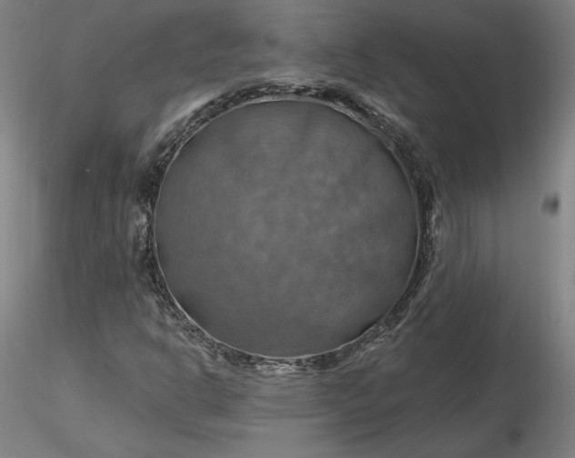 X0000116491302200912231143