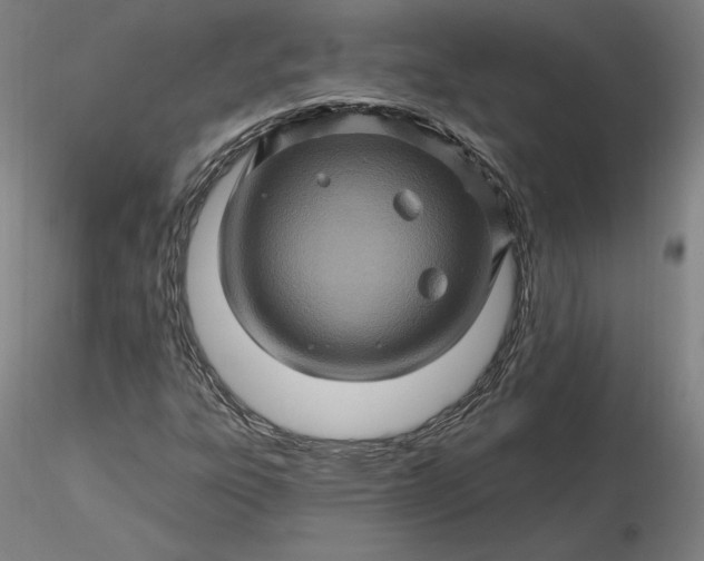 X0000116491303200912231143