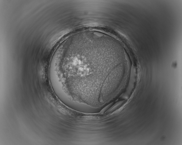 X0000116491305200912231143