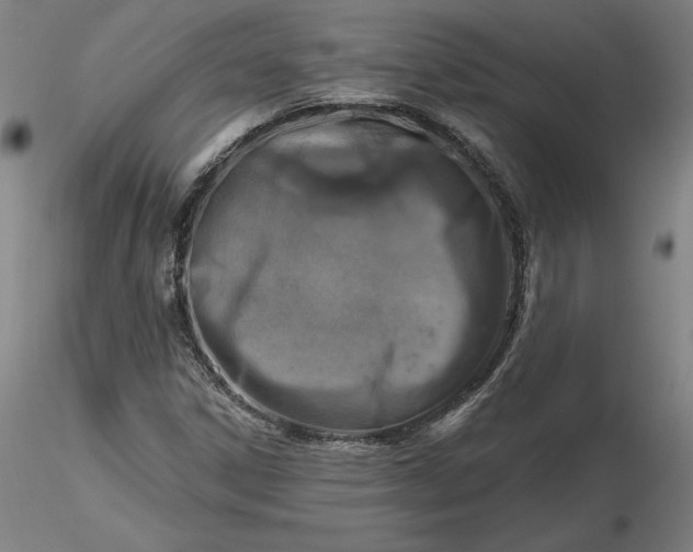 X0000116491306200912231143