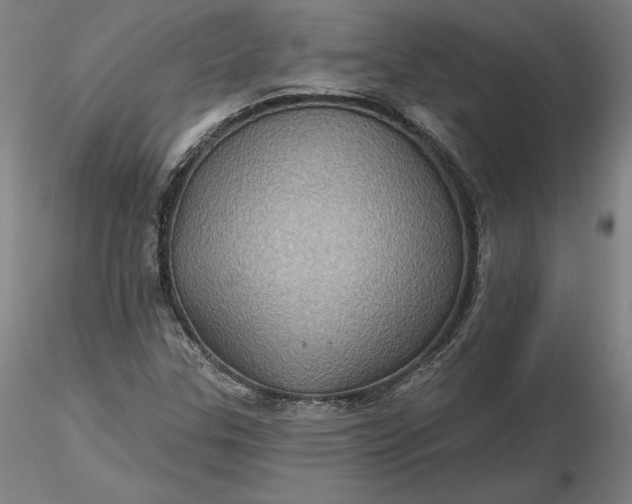 X0000116491307200912231143