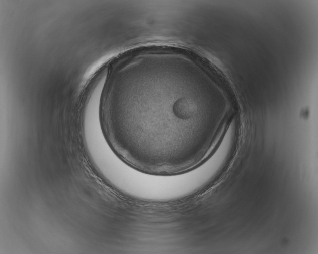 X0000116491310200912231143