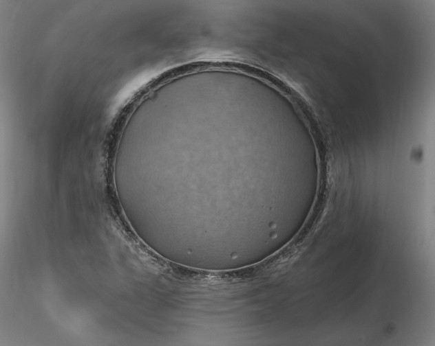 X0000116491311200912231143