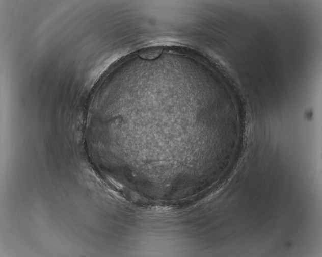 X0000116491313200912231143