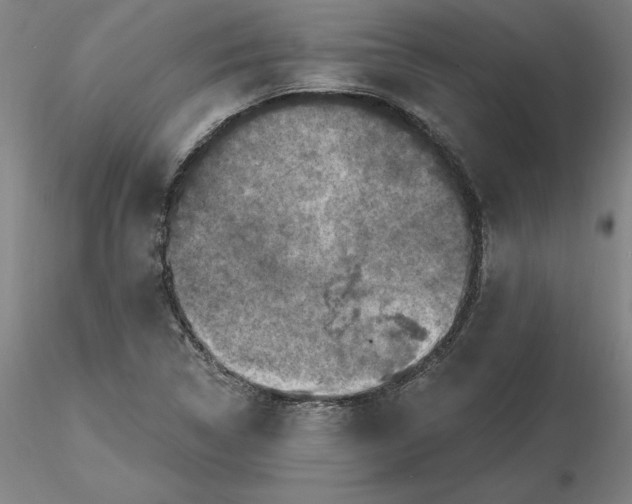 X0000116491314200912231143