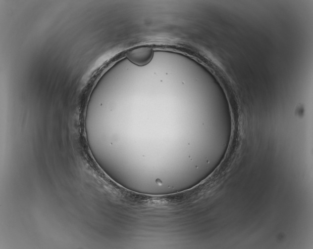 X0000116491315200912231143