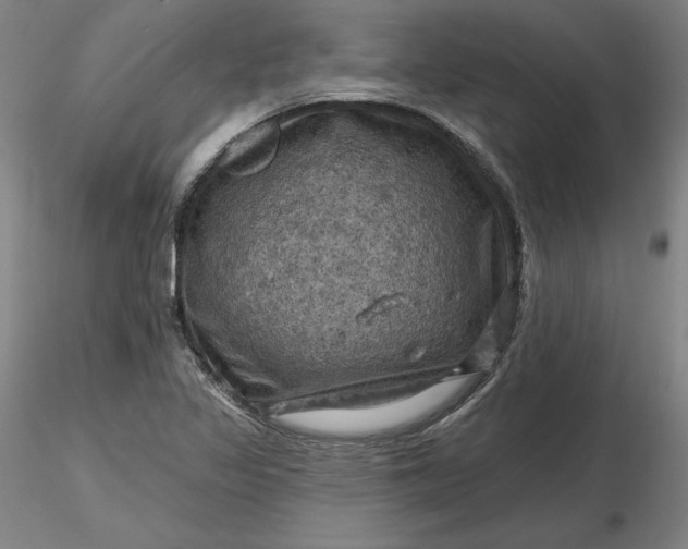 X0000116491317200912231143