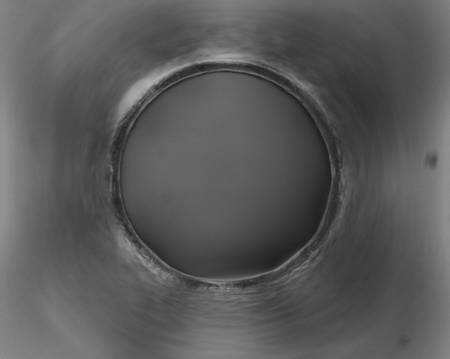 X0000116491319200912231143