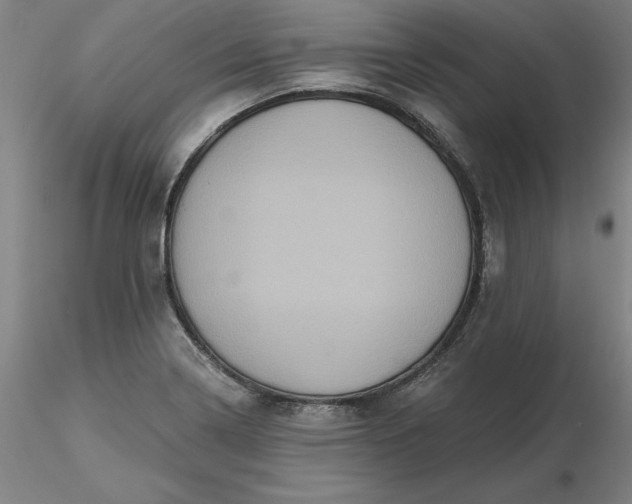 X0000116491322200912231143