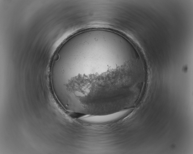 X0000116491325200912231143