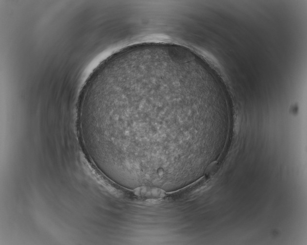 X0000116491326200912231143