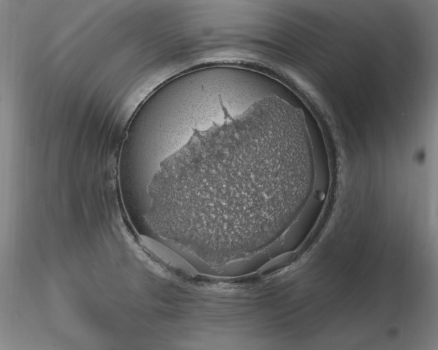 X0000116491329200912231143