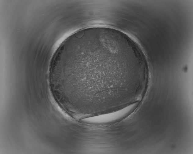 X0000116491333200912231143