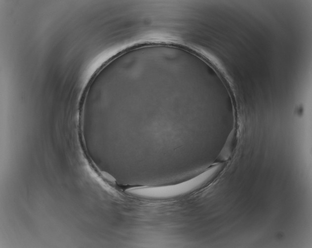 X0000116491335200912231143