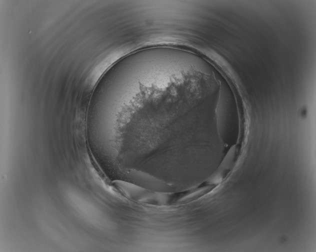 X0000116491337200912231143