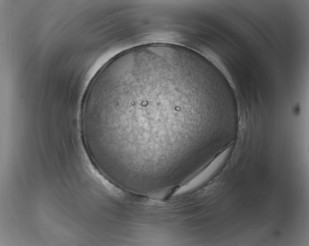 X0000116491339200912231143