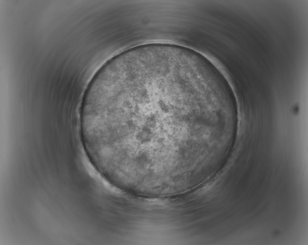 X0000116491341200912231143