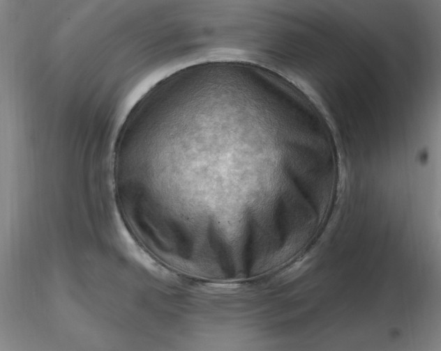 X0000116491342200912231143