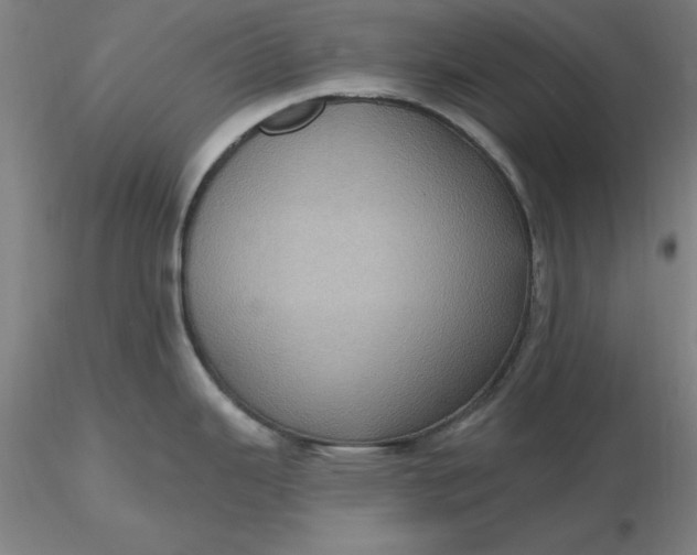 X0000116491343200912231143