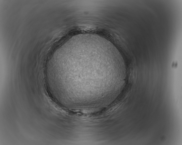 X0000116491345200912231143