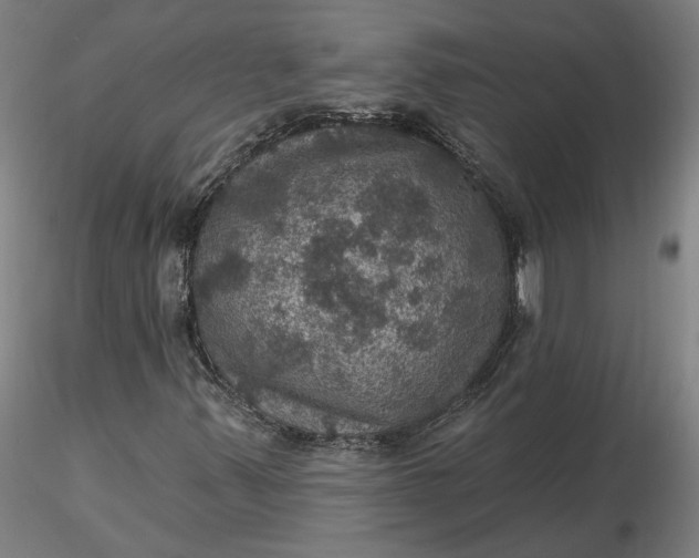 X0000116491347200912231143