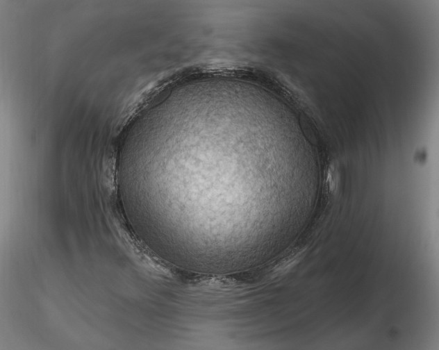 X0000116491348200912231143