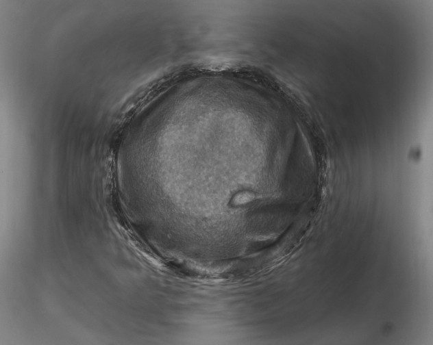 X0000116491349200912231143