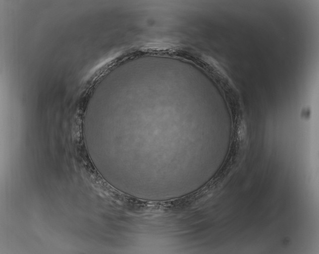 X0000116491350200912231143