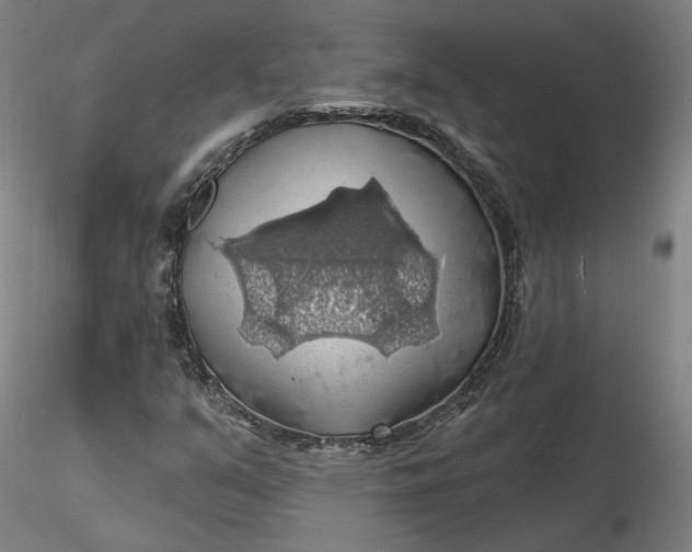 X0000116491351200912231143