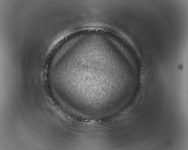 X0000116491352200912231143