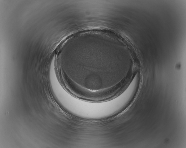 X0000116491353200912231143