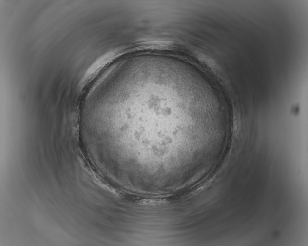 X0000116491354200912231143