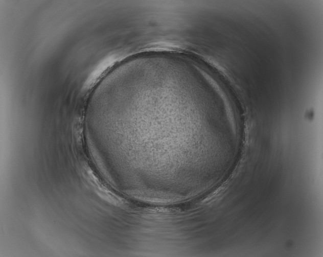 X0000116491355200912231143