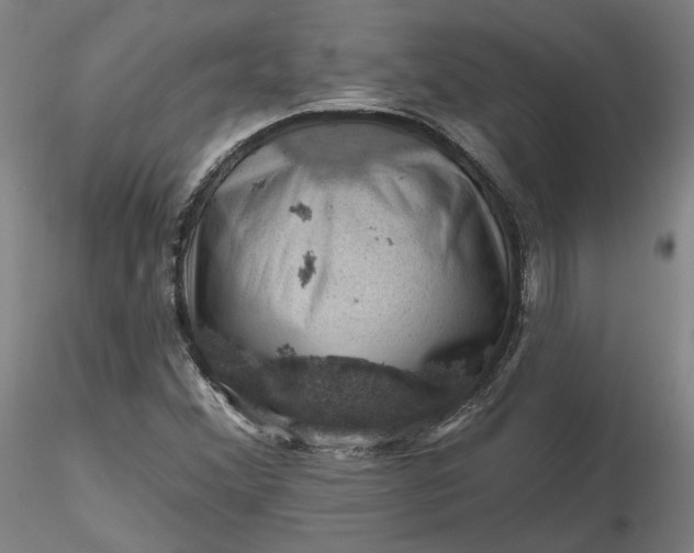 X0000116491356200912231143