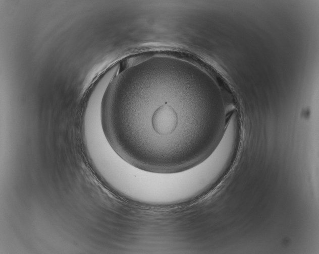 X0000116491357200912231143