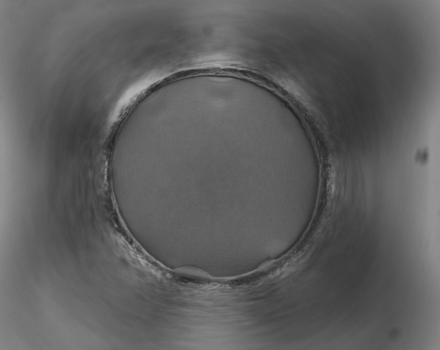 X0000116491358200912231143