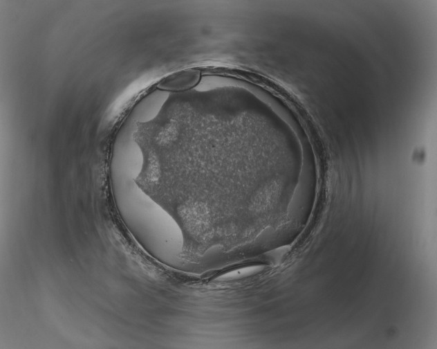 X0000116491359200912231143