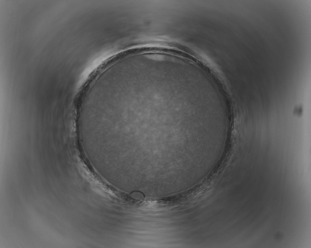 X0000116491360200912231143