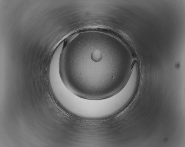 X0000116491361200912231143