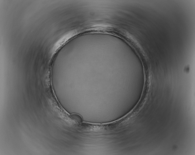 X0000116491362200912231143