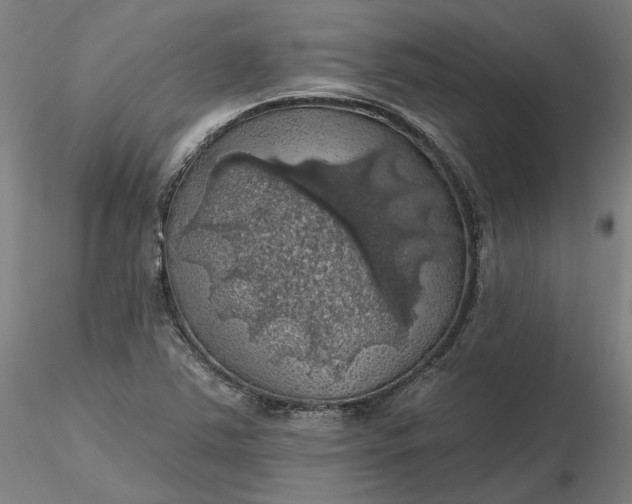 X0000116491363200912231143