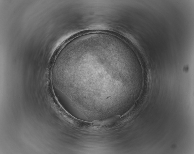 X0000116491364200912231142