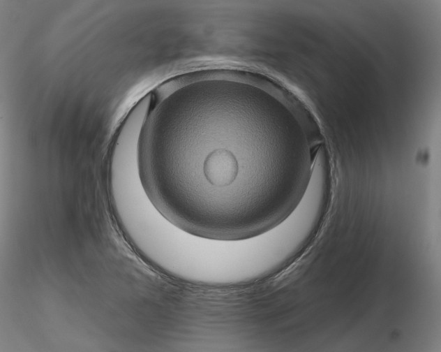 X0000116491365200912231142